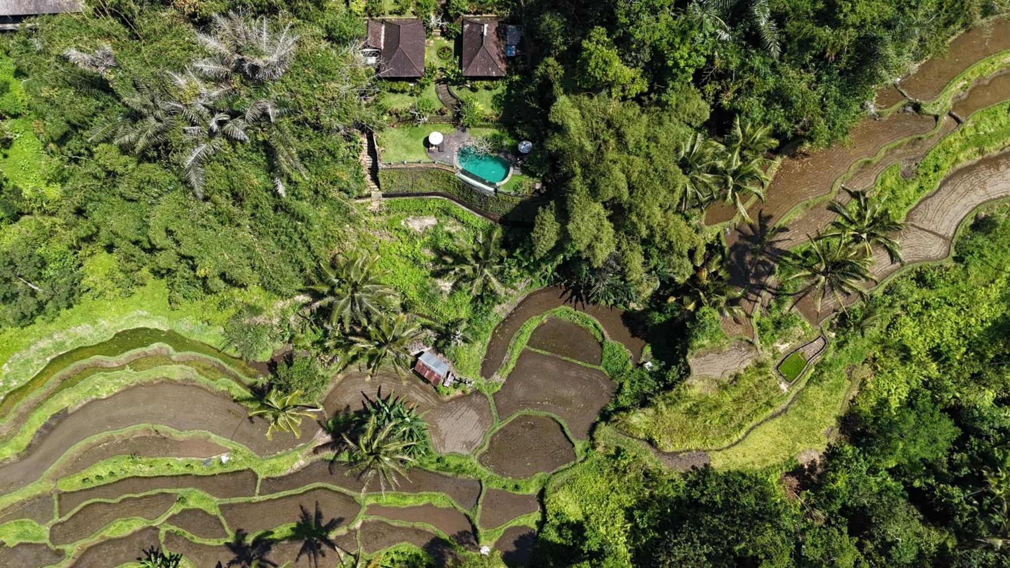 Villa Wedang Тегаллаланг Экстерьер фото