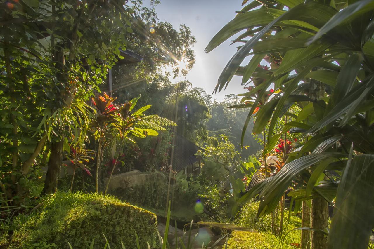 Villa Wedang Тегаллаланг Экстерьер фото